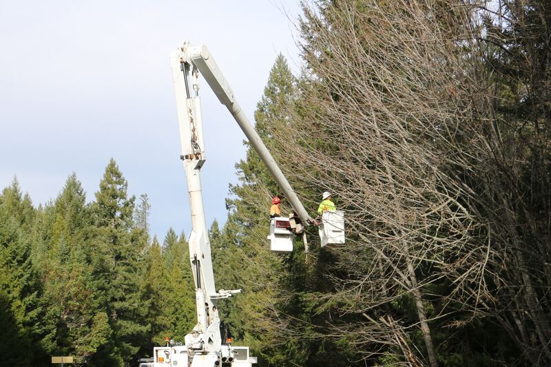 Deux élagueurs dans le panier d’une nacelle, à hauteur des branches d’arbres en bord de route